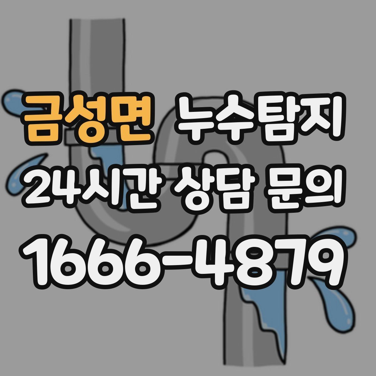 금성면 누수탐지 세탁실 배수 문제 진단 경험