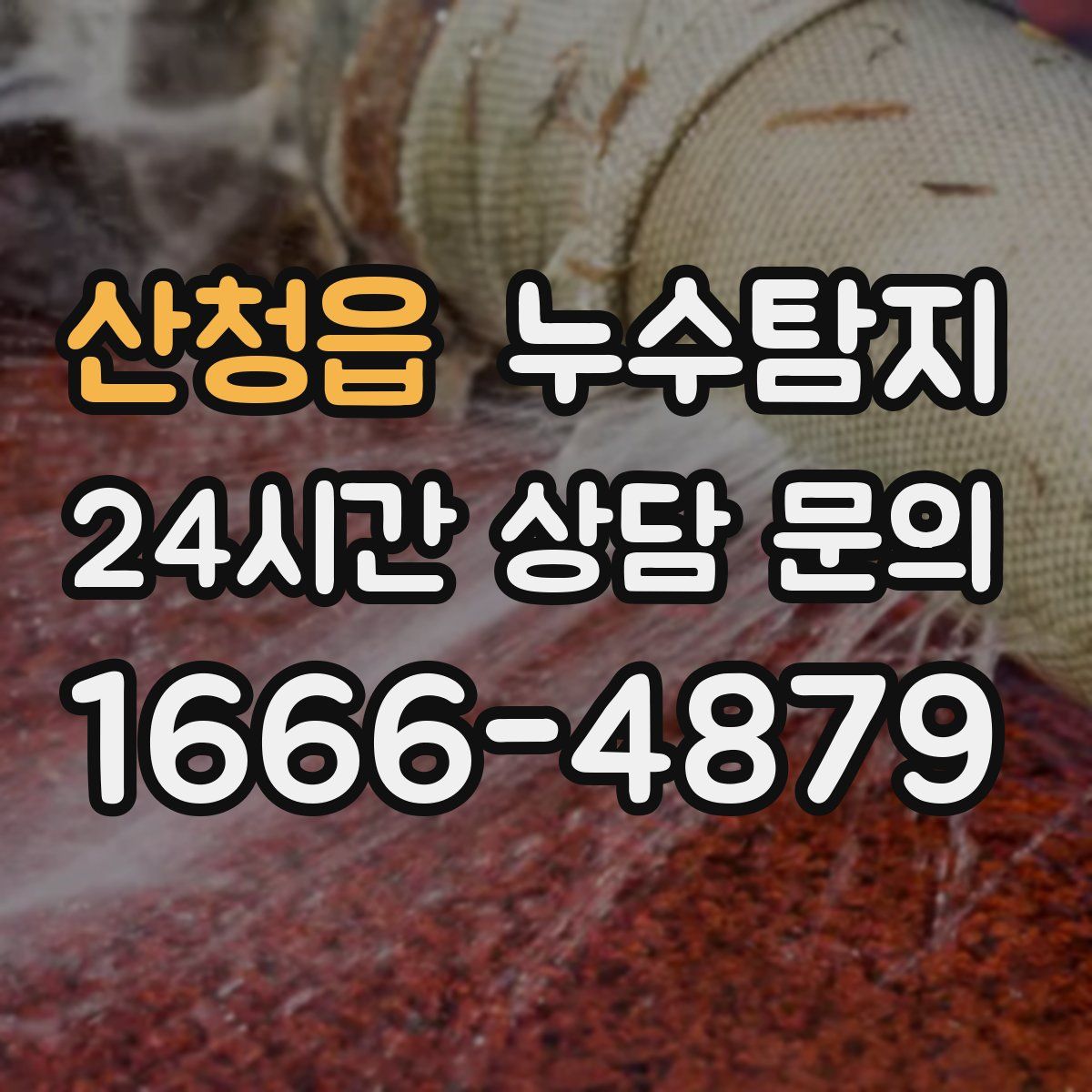 누수탐지