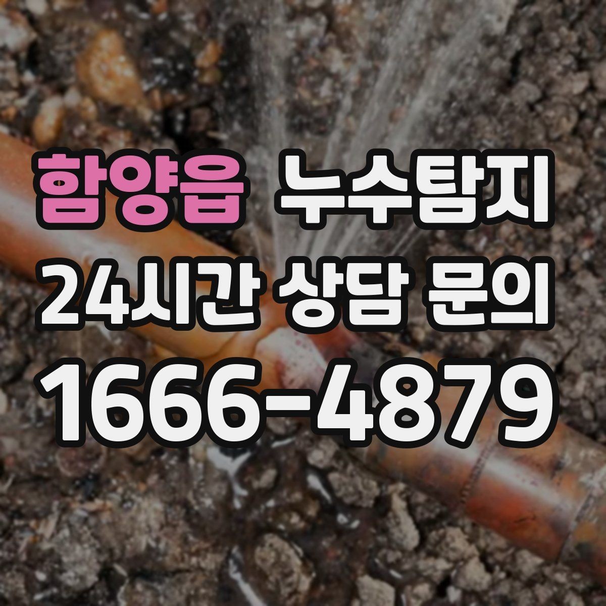 함양읍 누수탐지 층간 누수 분쟁 데이터 진단