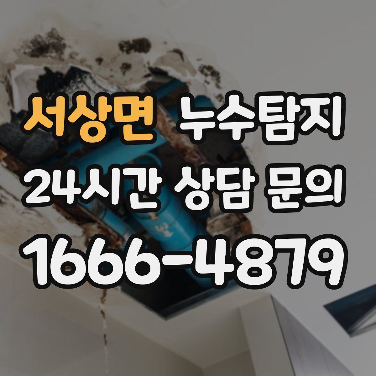 누수탐지