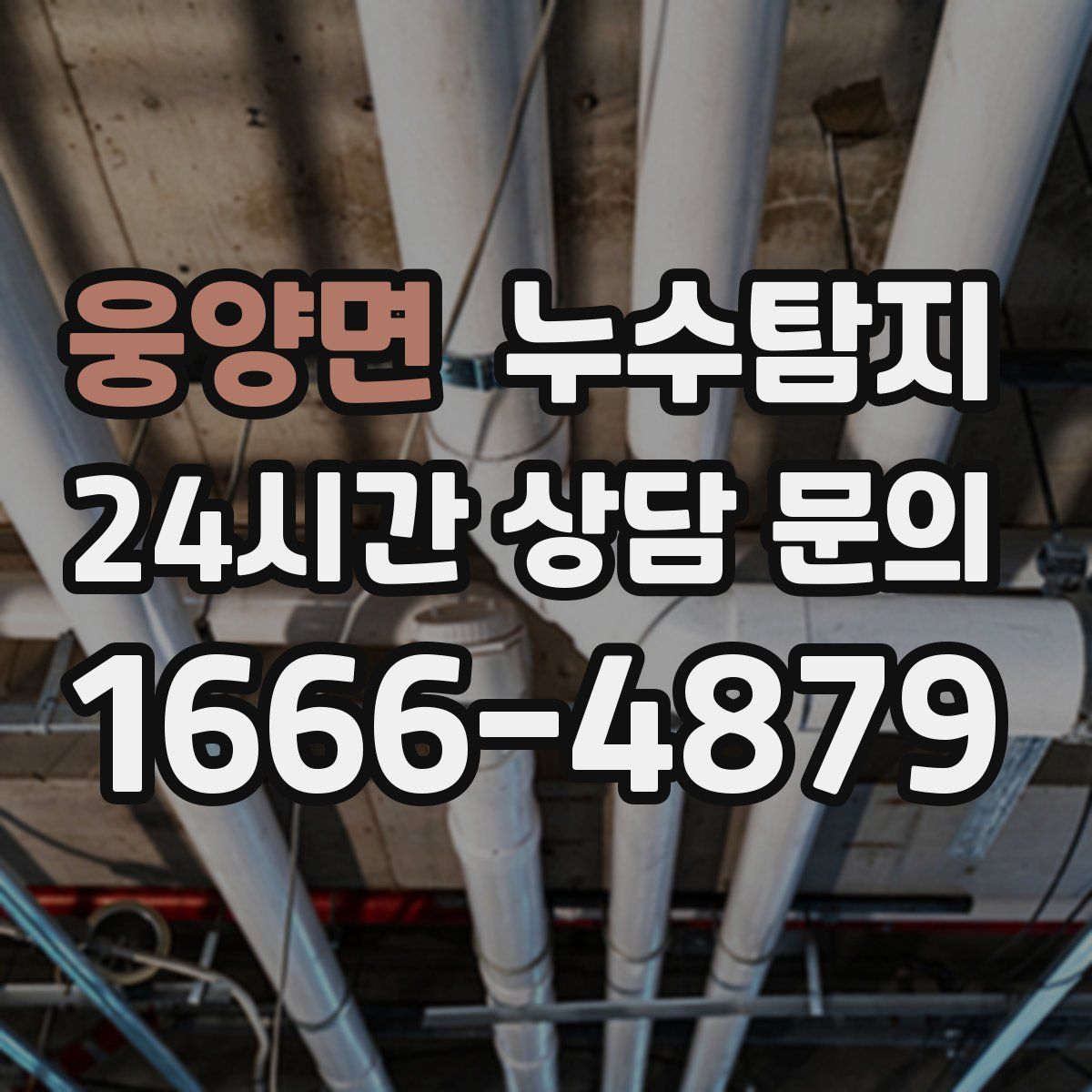 누수탐지