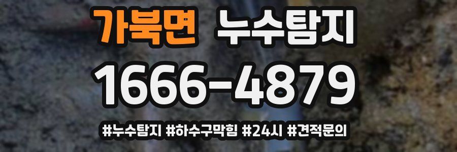 누수닥터 누수탐지
