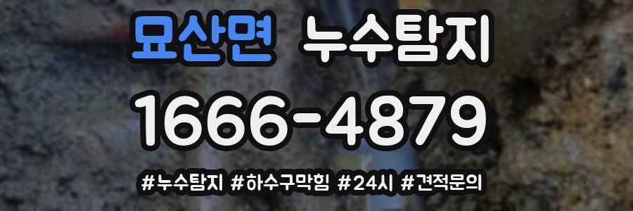 누수닥터 누수탐지