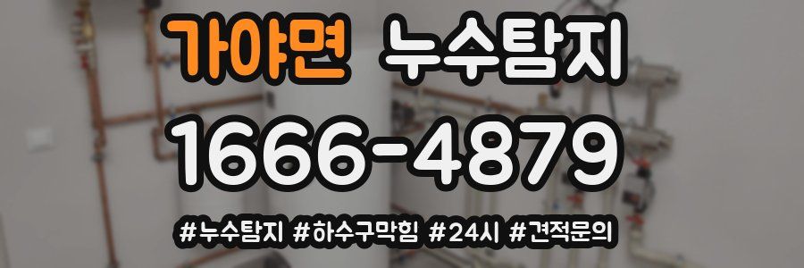 누수닥터 누수탐지
