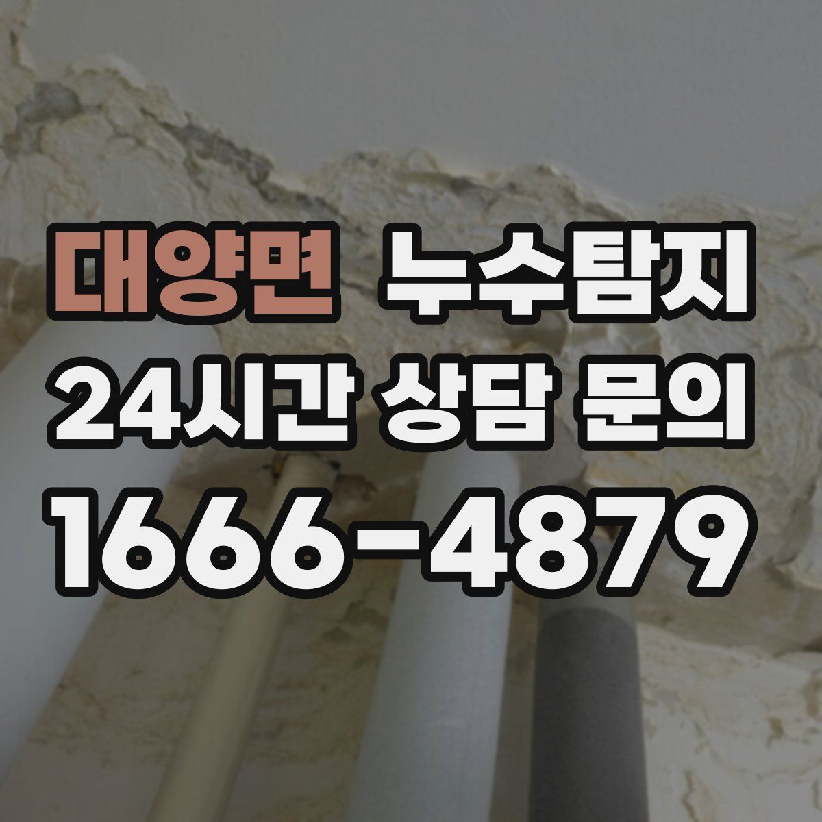 누수탐지