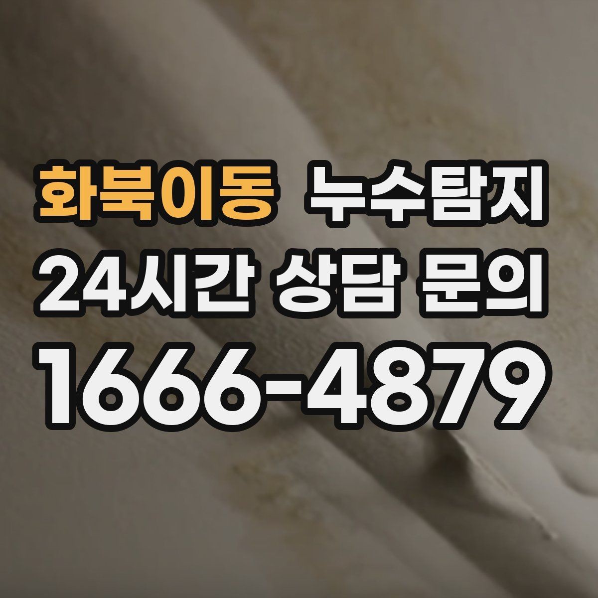 화북이동 누수탐지 옥상 우수 유입 차단