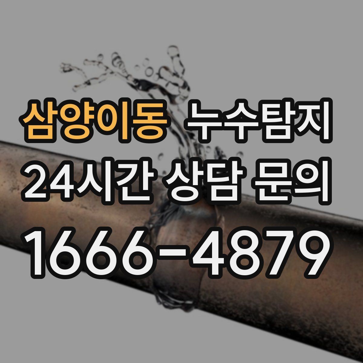 삼양이동 누수탐지 상가와 카페 영업 중 점검 노하우