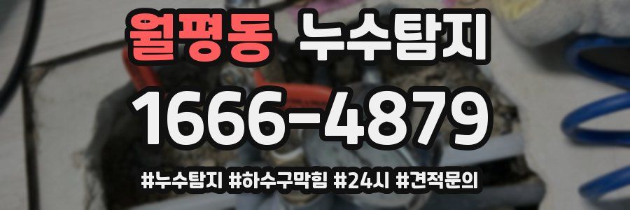 누수닥터 누수탐지