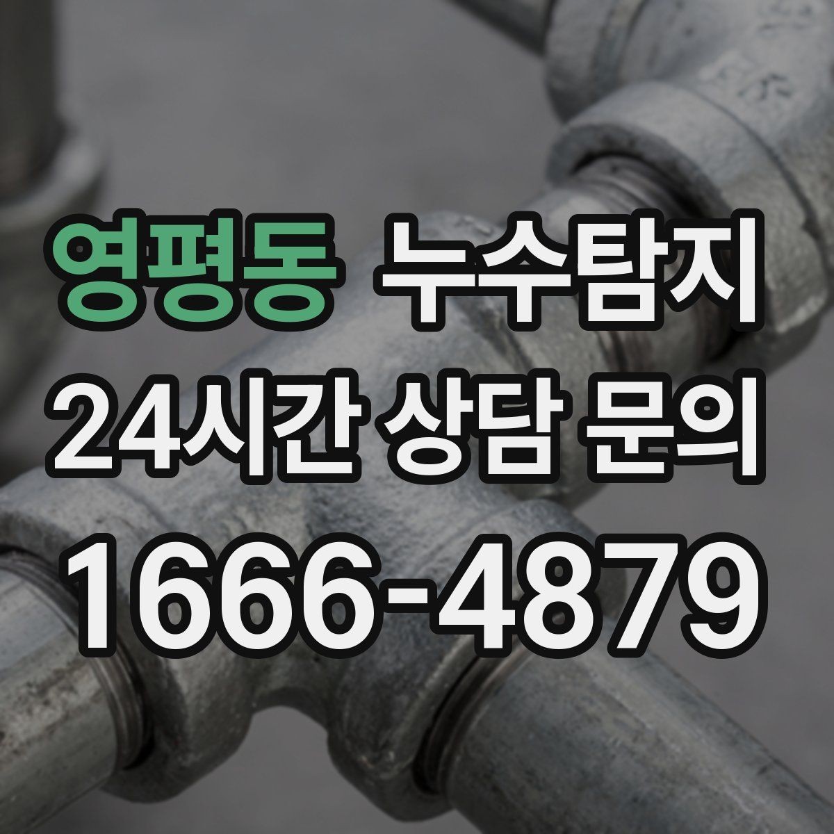 영평동 누수탐지 방수 결함 누수 진단
