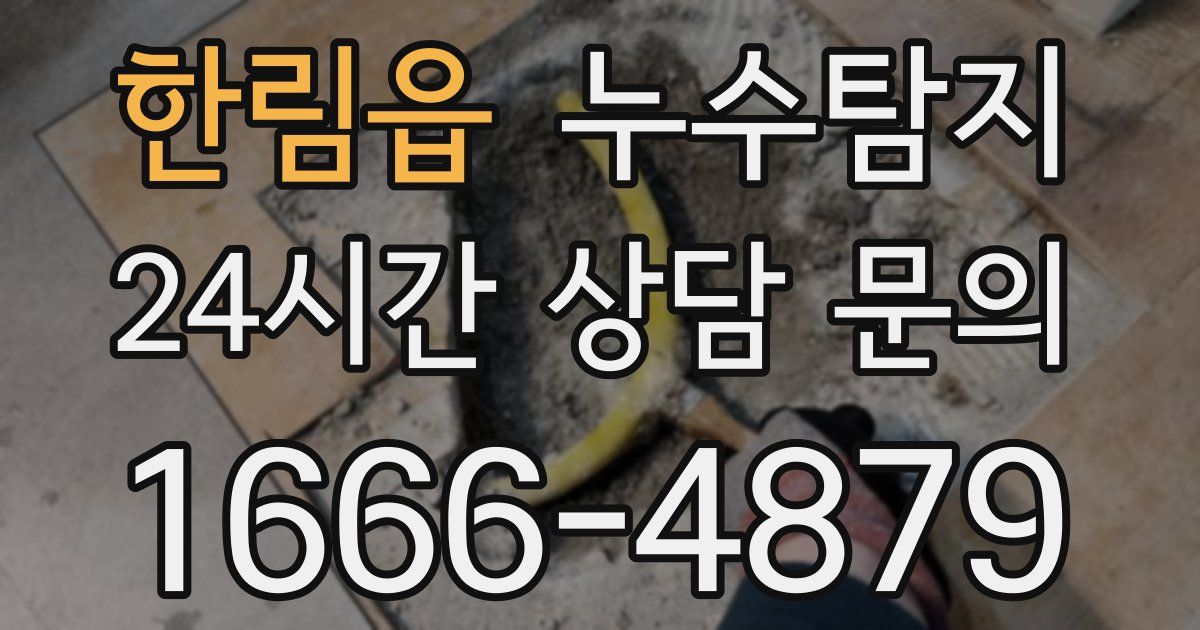 하수구막힘