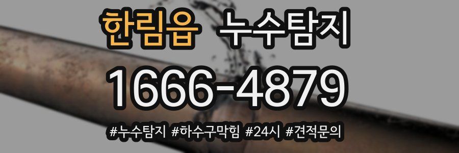 누수닥터 누수탐지