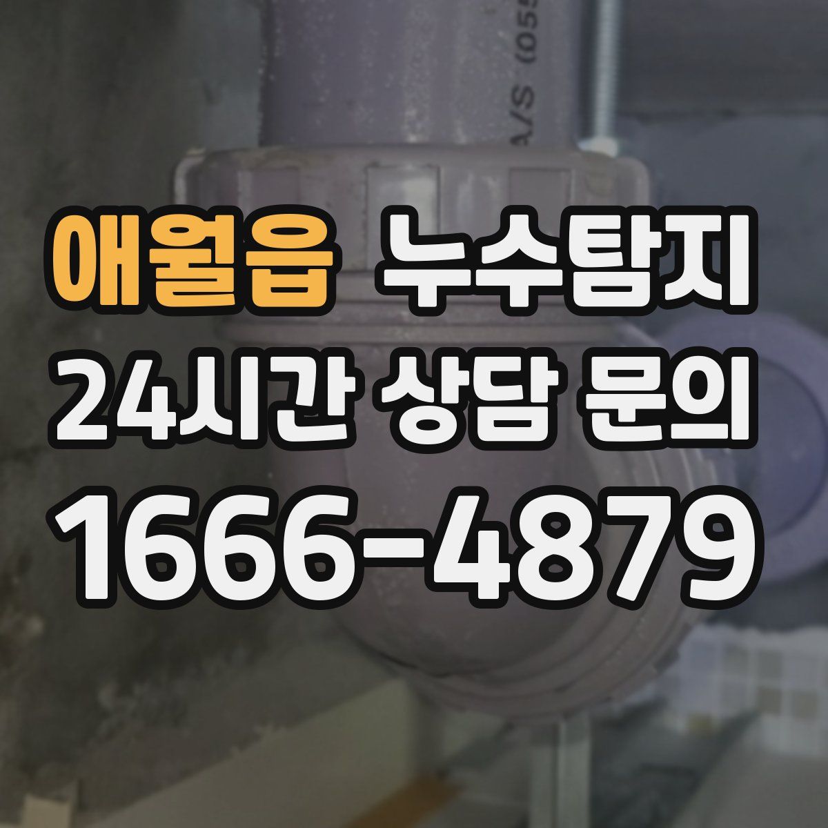 누수탐지