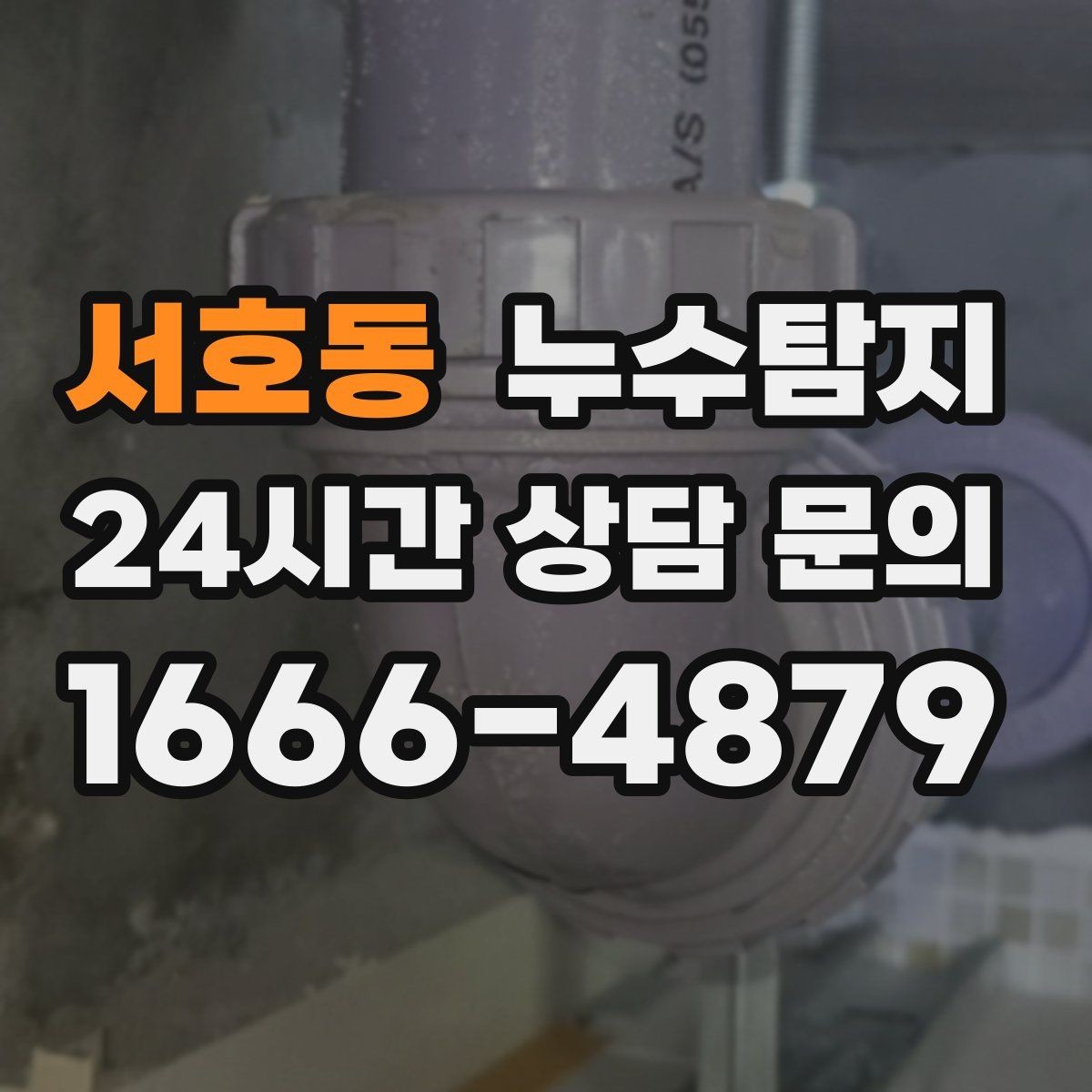 서호동 누수탐지 장마 대비 옥상 점검 체크