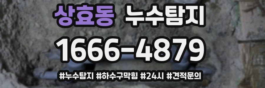 누수닥터 누수탐지