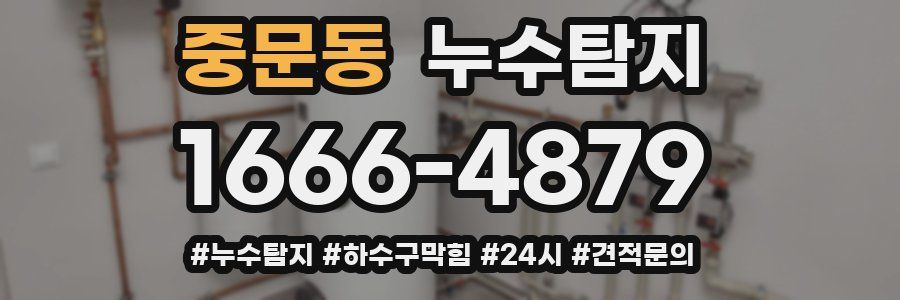 누수닥터 누수탐지