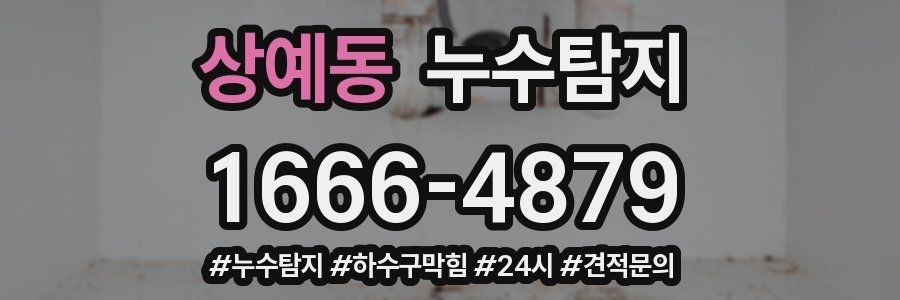 누수닥터 누수탐지
