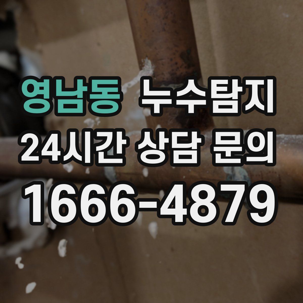 누수탐지