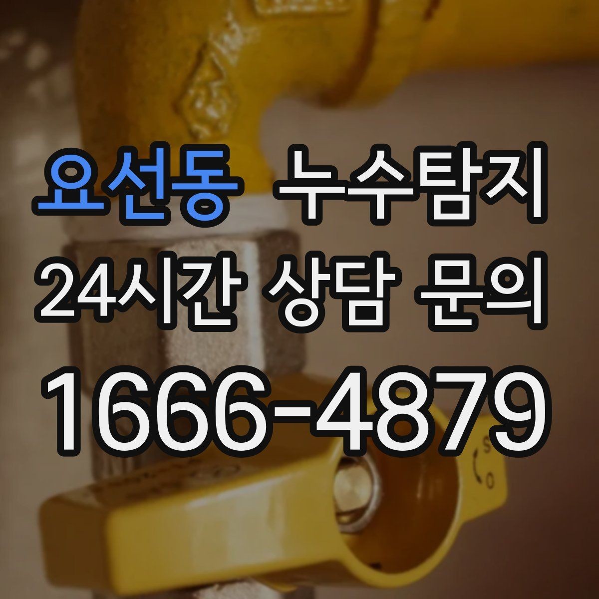 요선동 누수탐지 난방 배관 누수 정밀 탐지