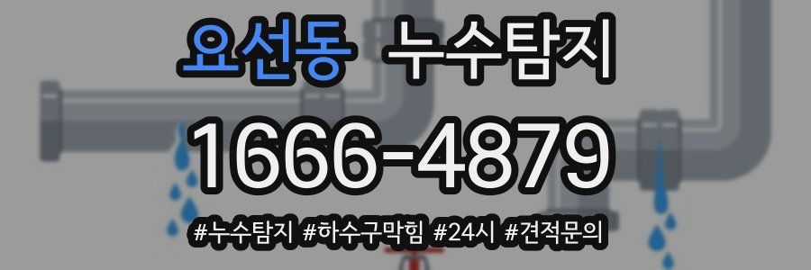 누수닥터 누수탐지