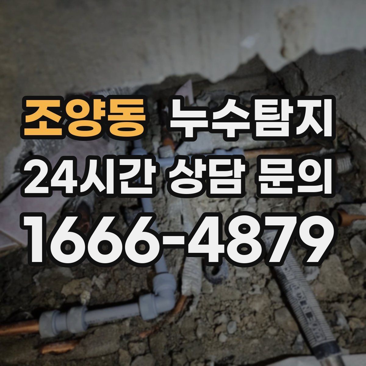 조양동 누수탐지 주말 점검으로 끝낸 응급 상황