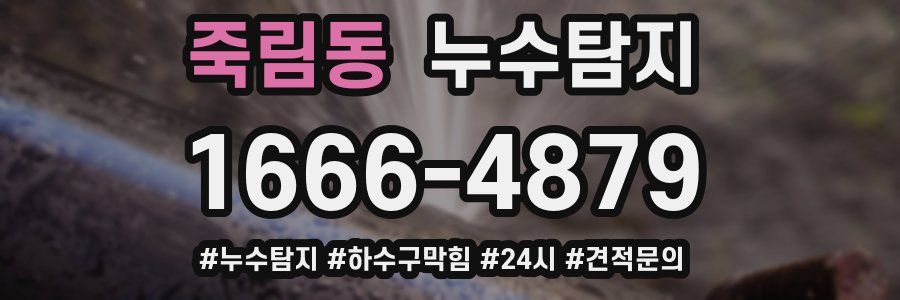 누수닥터 누수탐지
