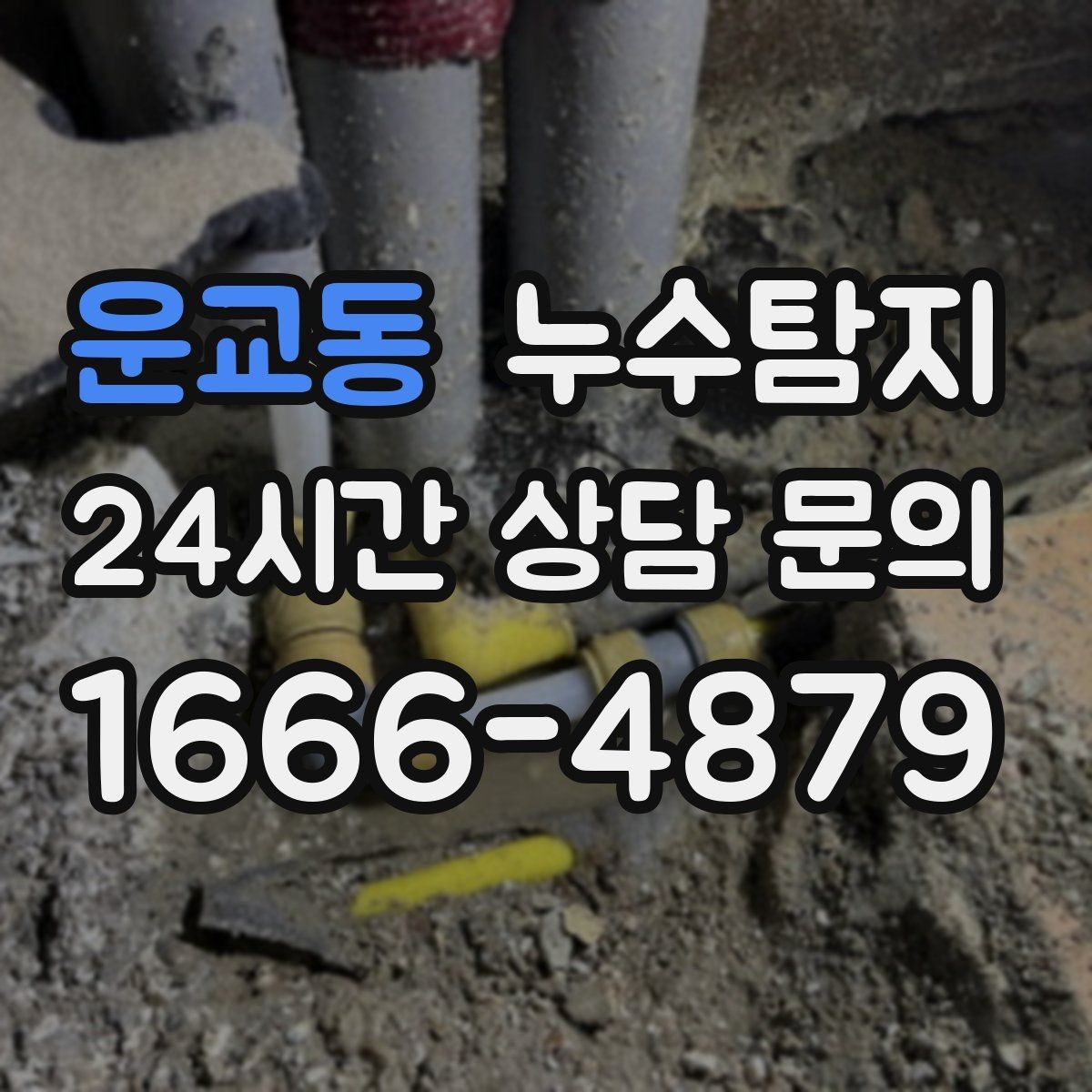 운교동 누수탐지 욕실 곰팡이 원인과 해결 과정