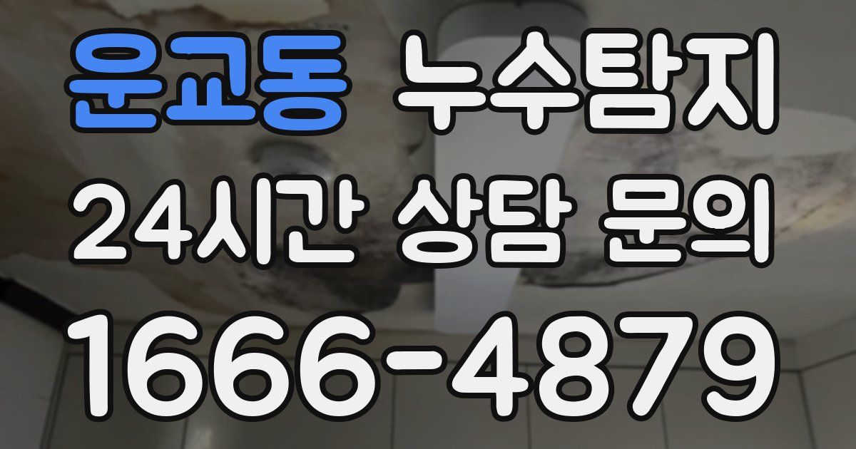 하수구막힘