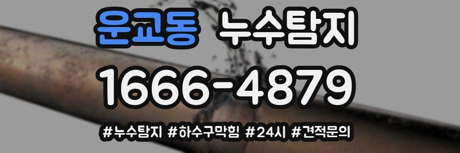누수닥터 누수탐지