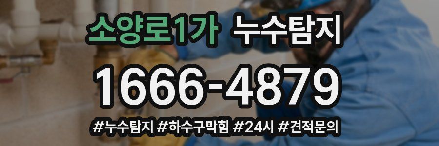 누수닥터 누수탐지
