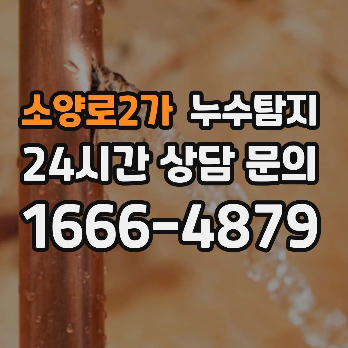 소양로2가 누수탐지 외벽 침투수 초기 대응 기록