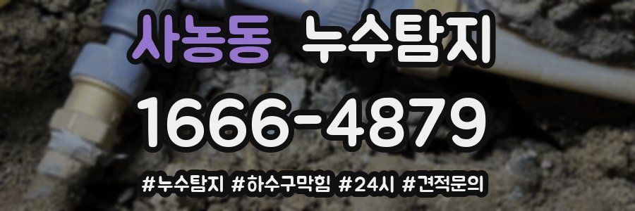 누수닥터 누수탐지