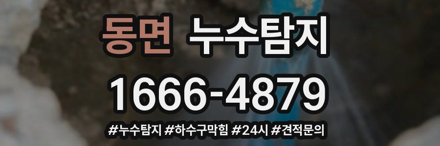누수닥터 누수탐지