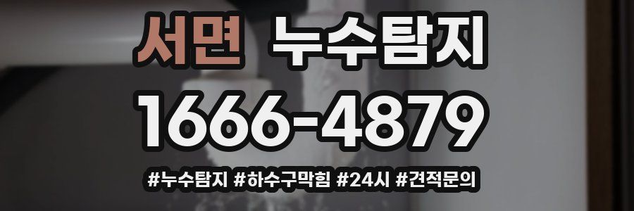 누수닥터 누수탐지