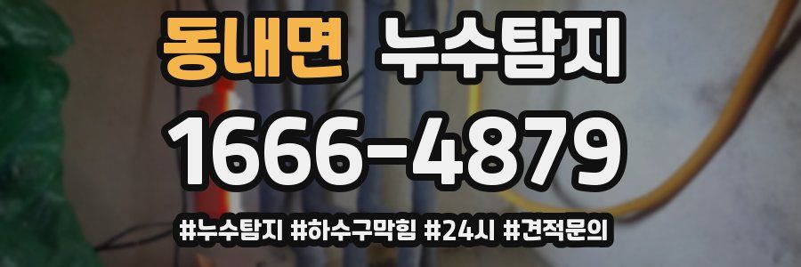 누수닥터 누수탐지