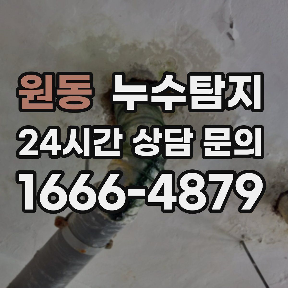 누수탐지