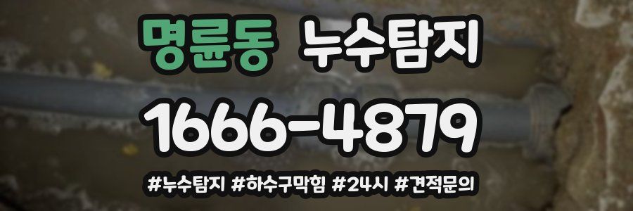 누수닥터 누수탐지