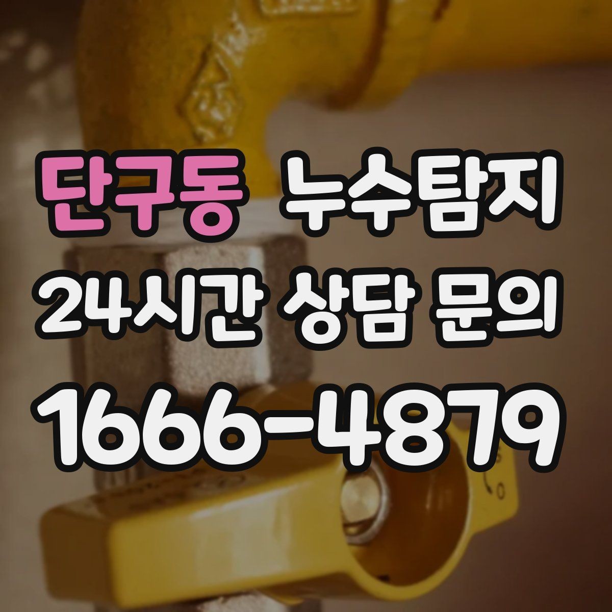 단구동 누수탐지 열화상 청음 정밀 점검