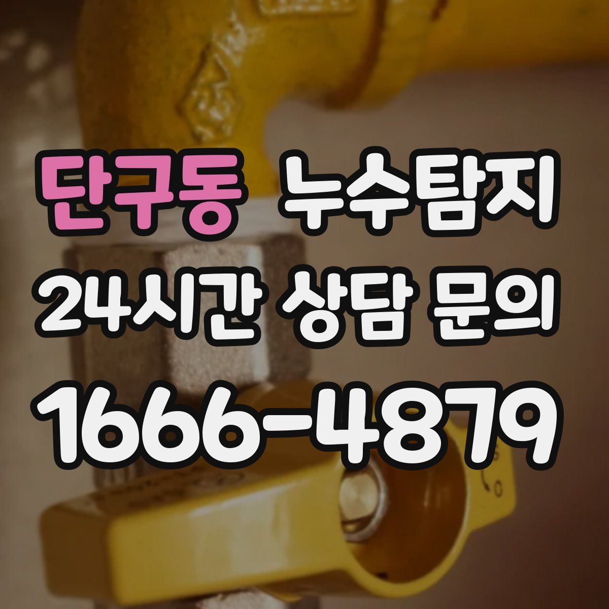 누수탐지