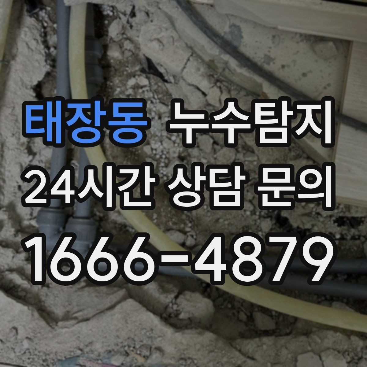 태장동 누수탐지 사소한 증상이 알려준 큰 위험