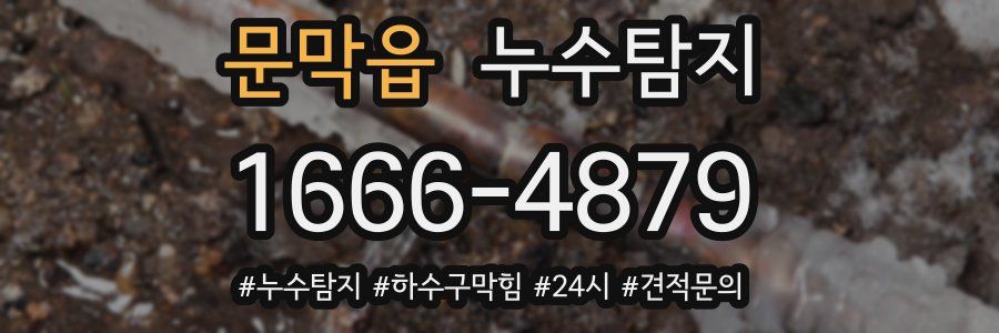 누수닥터 누수탐지