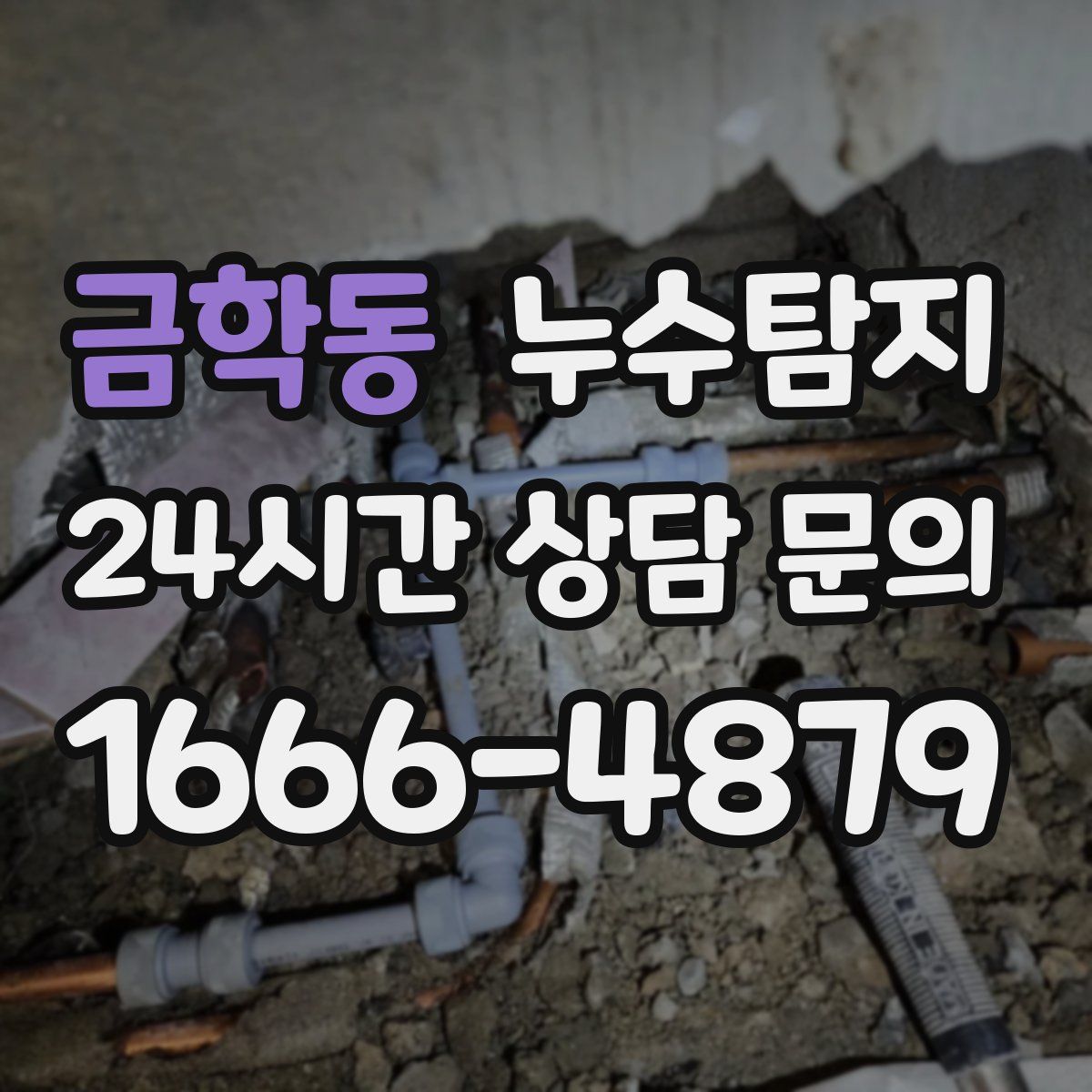 누수탐지