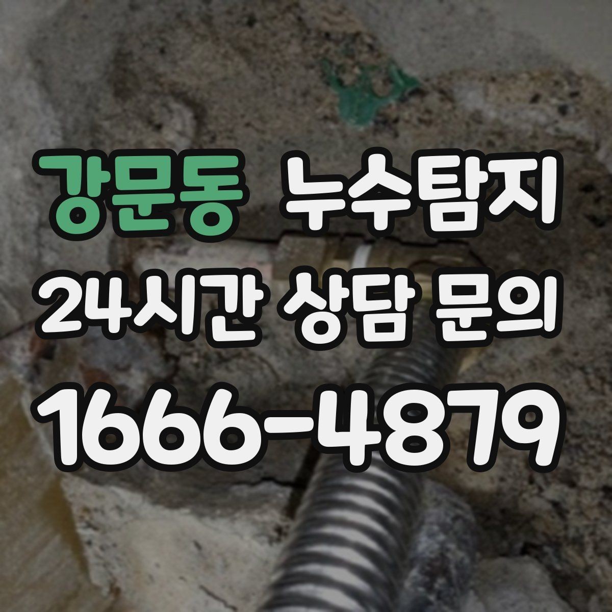 강문동 누수탐지 욕실 곰팡이 사라진 해결 과정
