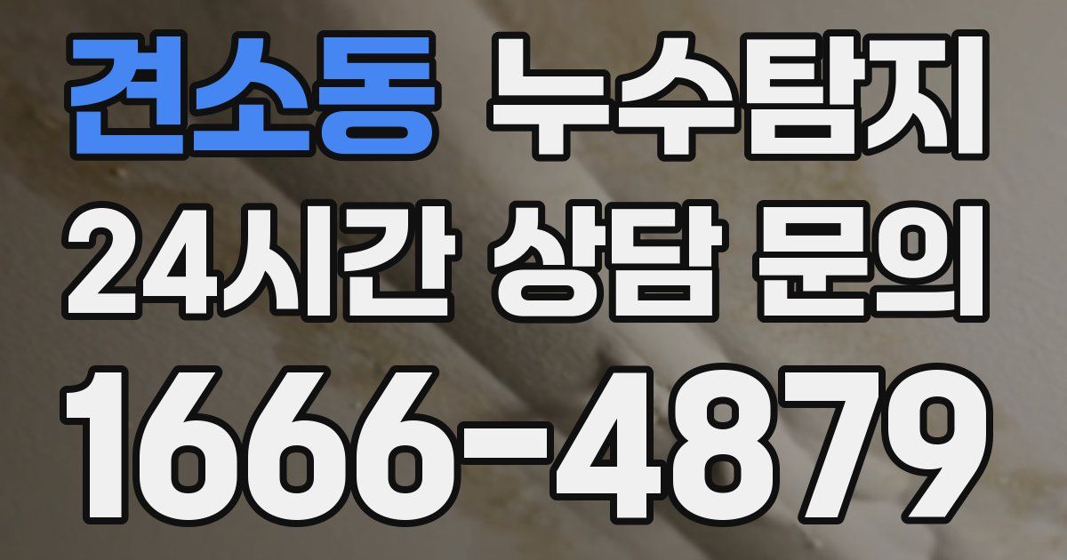 하수구막힘