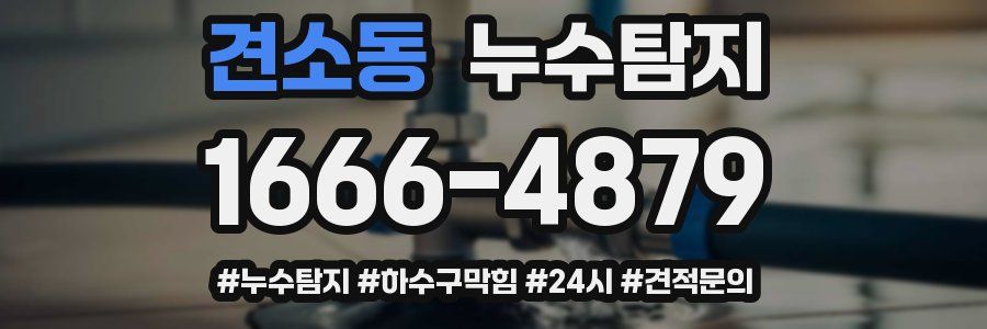 누수닥터 누수탐지