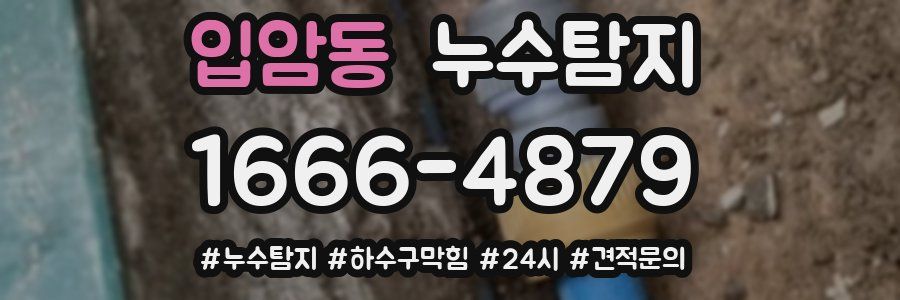 누수닥터 누수탐지