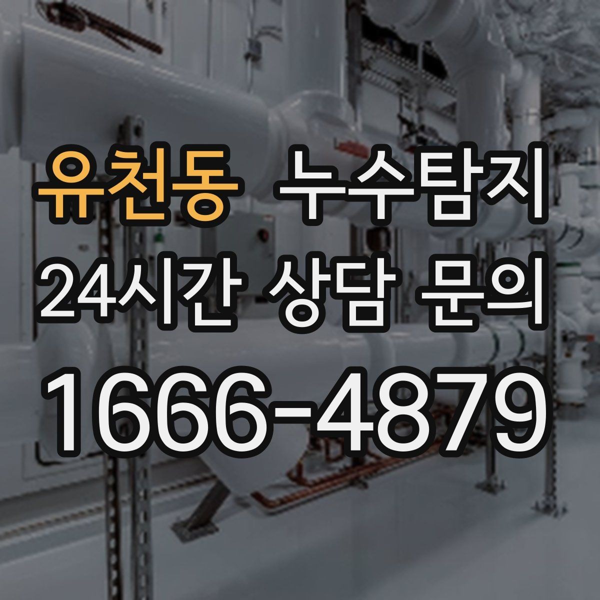 유천동 누수탐지 상가와 카페 영업 중 점검 노하우