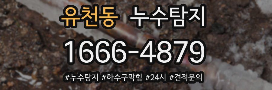 누수닥터 누수탐지