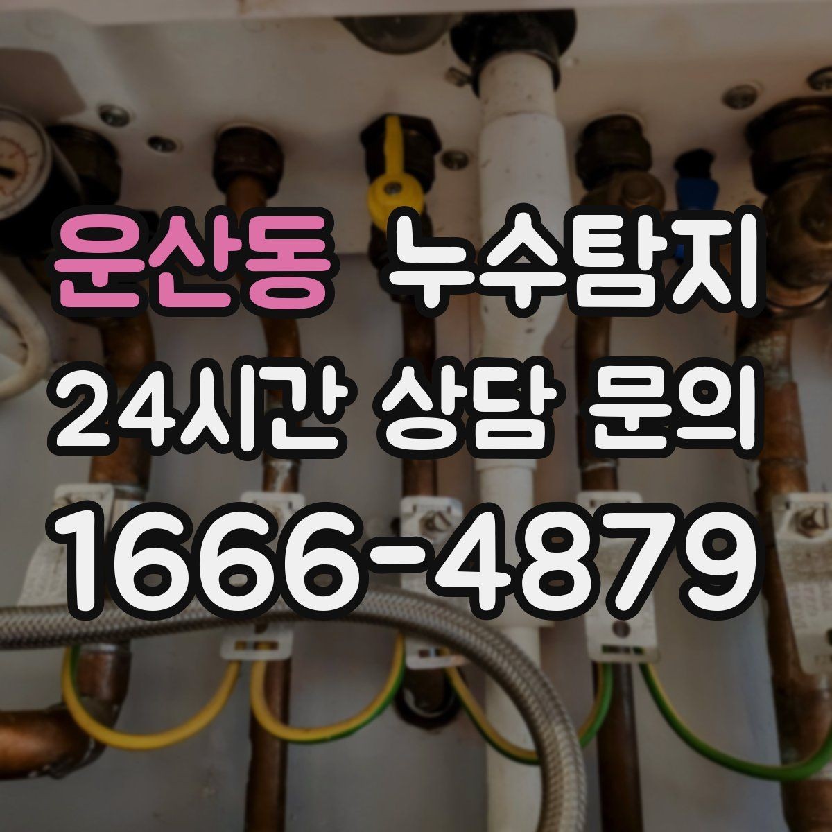 운산동 누수탐지 단열 결로와 누수 구분 진단