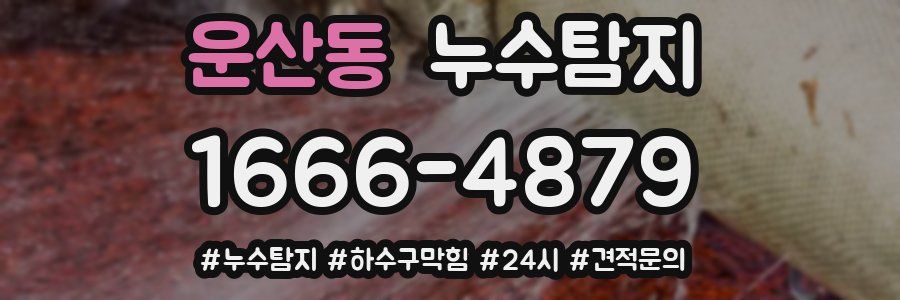 누수닥터 누수탐지