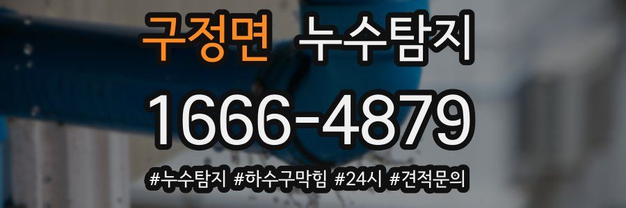 누수닥터 누수탐지